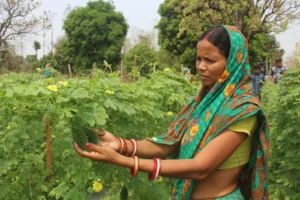 Women farmers in the field