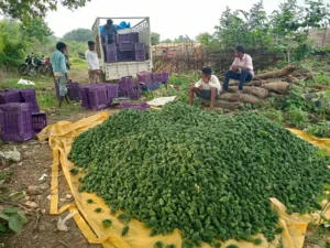 Market day