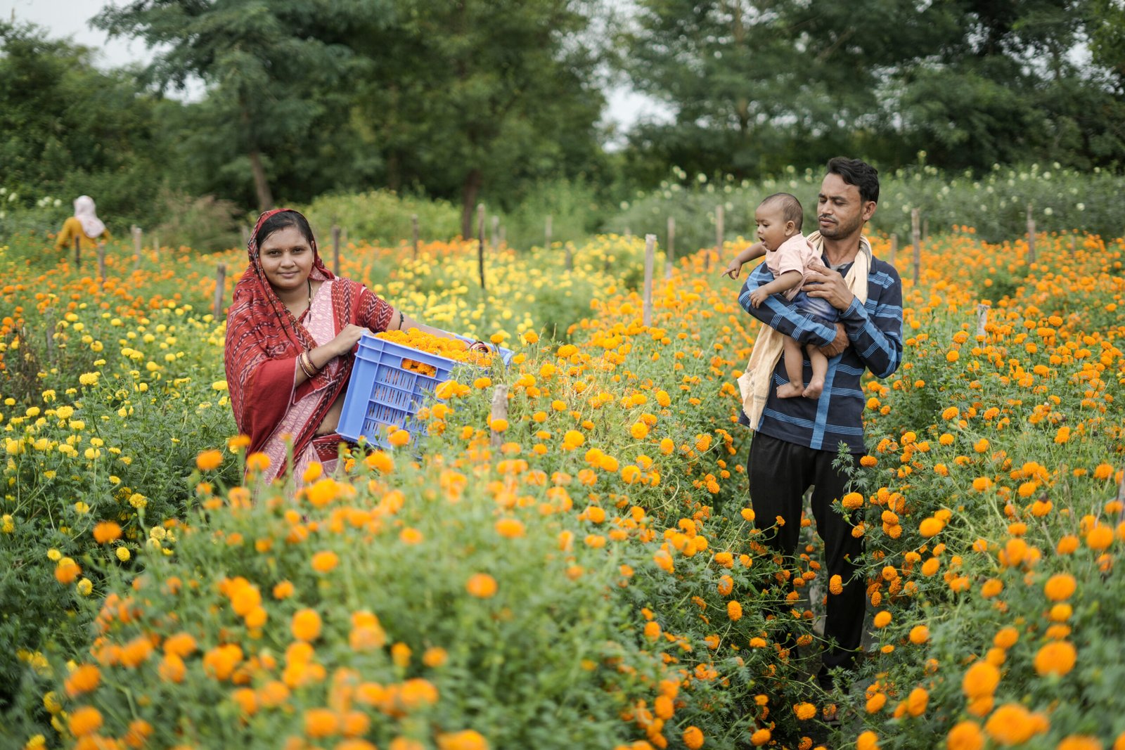 Women farmers working in an agricultural field
